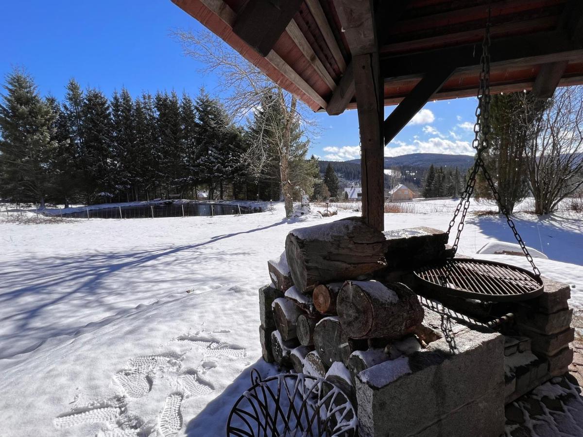 Ferienwohnung Im Hubertushof Feldberg  Exteriör bild